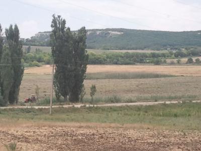 Прикрепленное изображение: 2024-06-12 13.06.59_.jpg